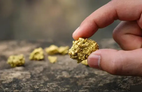 Arazisinden servet fışkırdı: 150 ton altın buldu 1 kuruşuna bile dokunamayacak. 